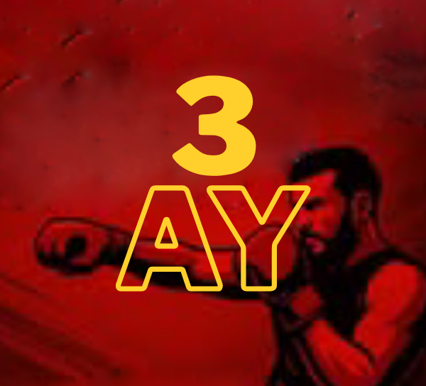 3 Aylık (36 ders) dövüş sporları paketi