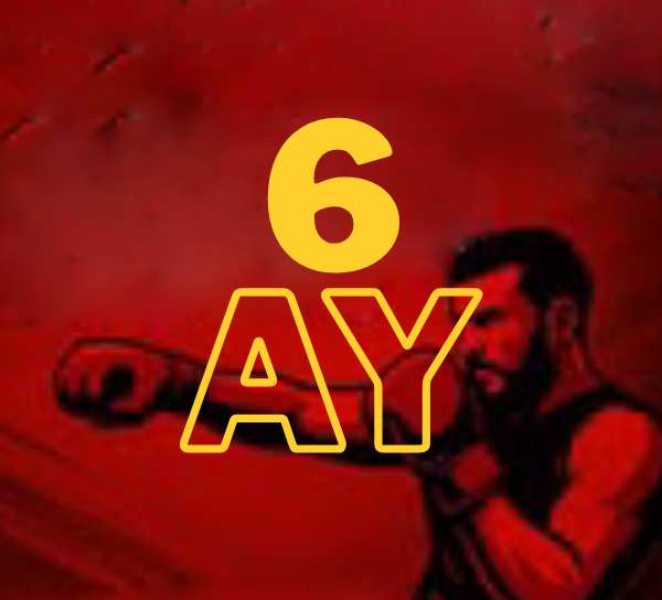 6 Aylık (72 ders) dövüş sporları paketi